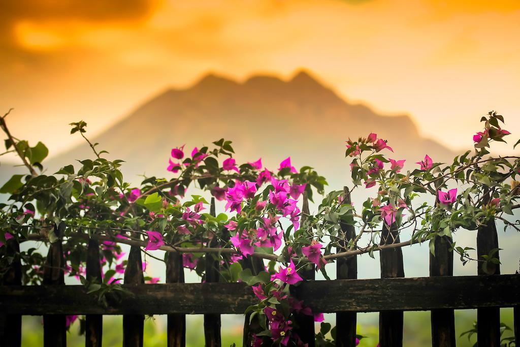 Hotel Casa Madre Tierra Vilcabamba Exteriér fotografie