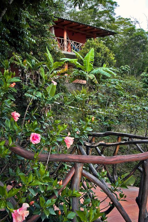 Hotel Casa Madre Tierra Vilcabamba Exteriér fotografie
